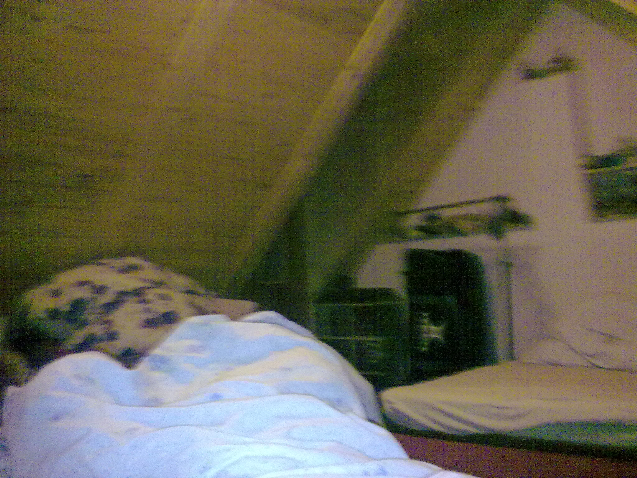 20092009250.jpg