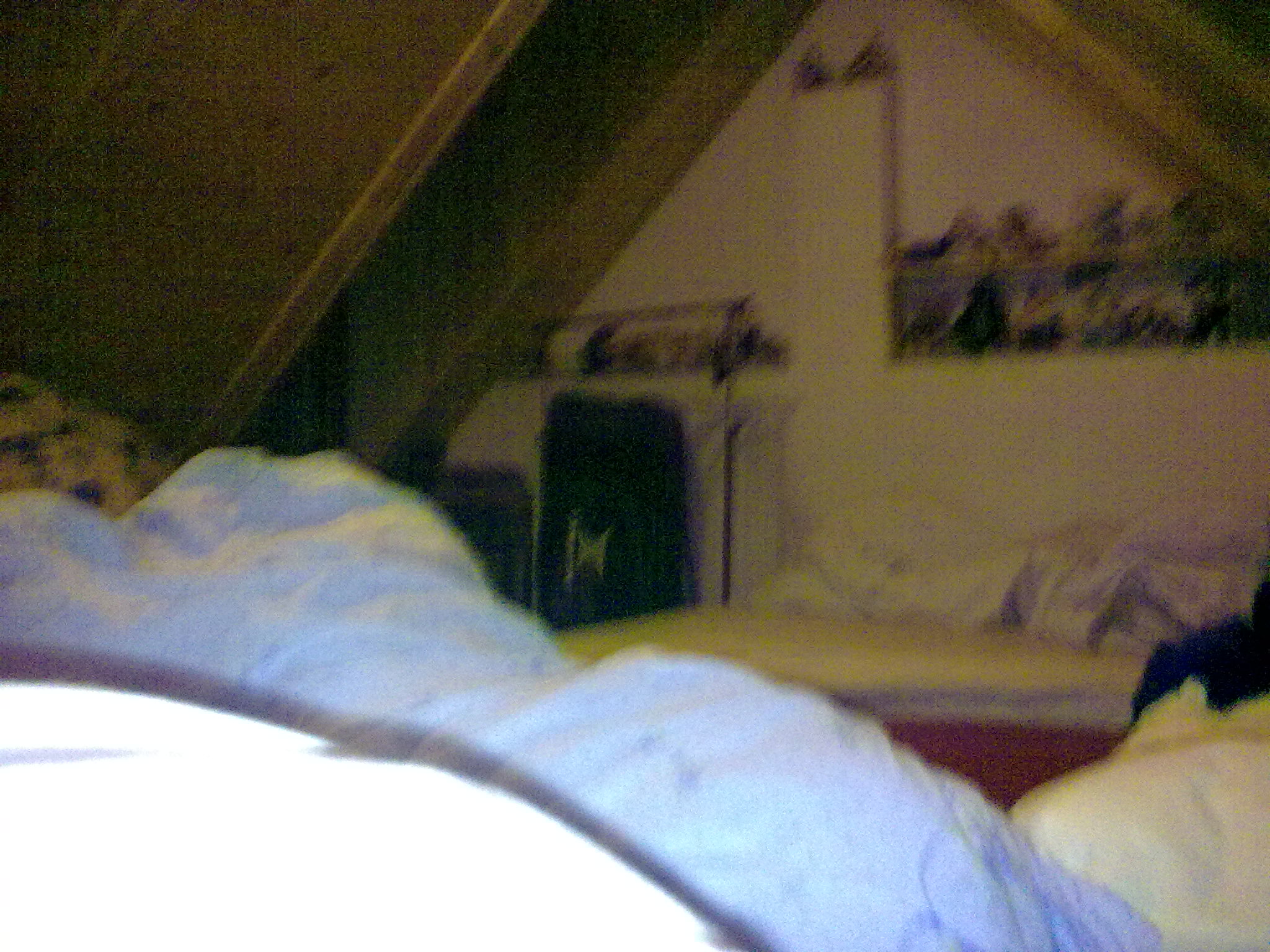 20092009251.jpg